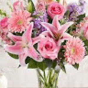 Meet your Posher, Rainwater